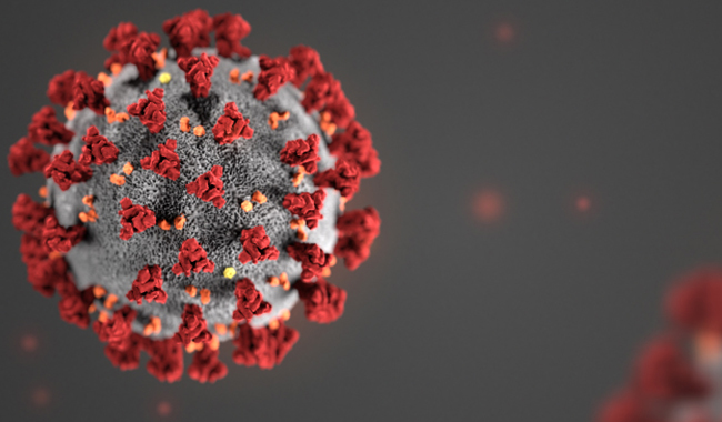 coronavirus_650px coronavirus_650px